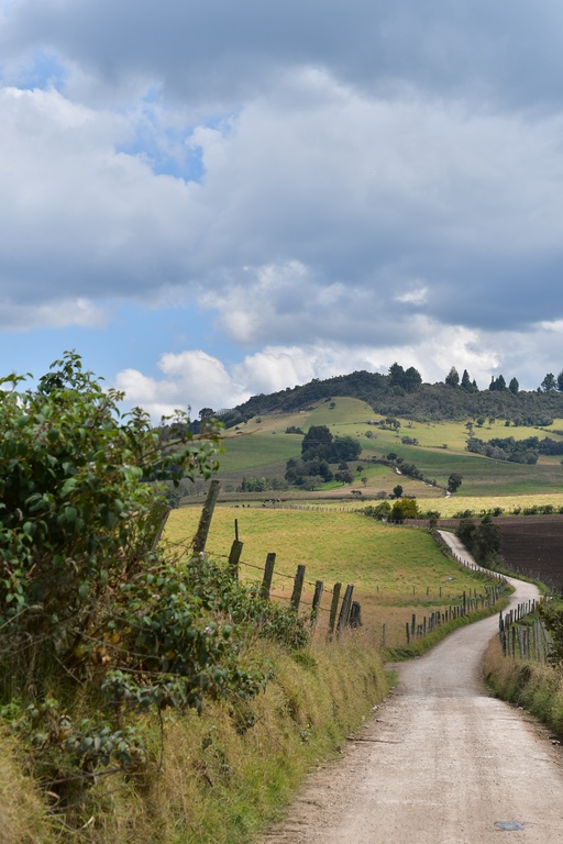 2020-01 Colombia/Guatavita/DSC_3179.JPG